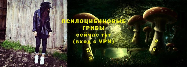 прущие грибы Арсеньев
