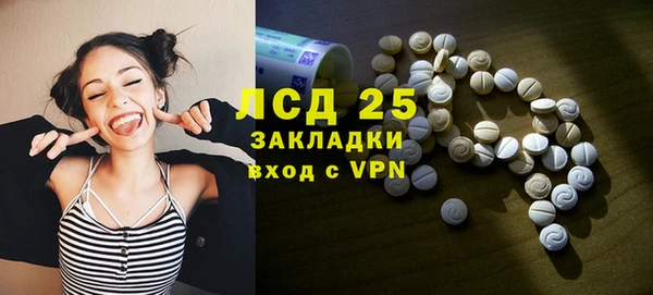 прущие грибы Арсеньев