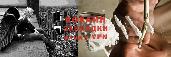 прущие грибы Арсеньев