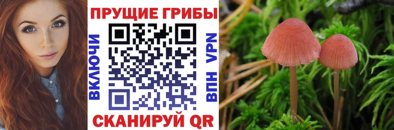 Галлюциногенные грибы мицелий  Щигры 